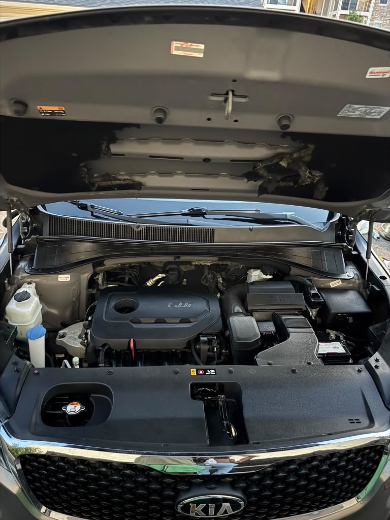 Clean Kia engine bay after professional detailing in Columbus Ohio