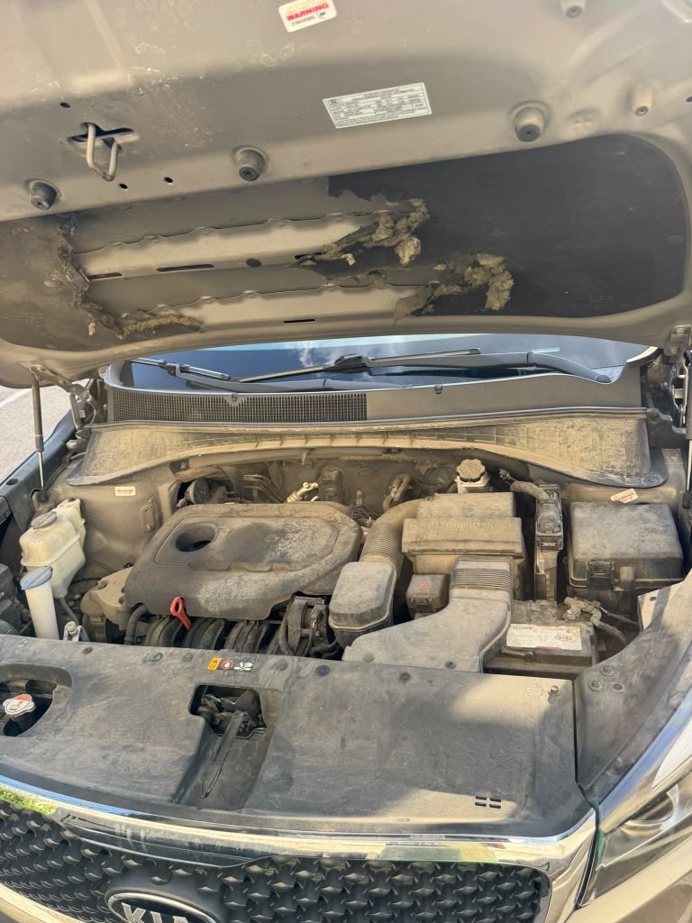 Dirty Kia engine bay before detailing in Columbus Ohio